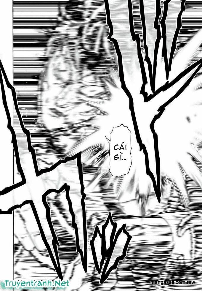 đọc truyện Anh Hùng Onepunch Chương 102 ảnh 21 tại Thiên Thai Truyện