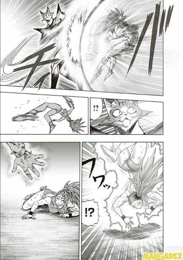 đọc truyện Anh Hùng Onepunch Chương 161 ảnh 6 tại Thiên Thai Truyện