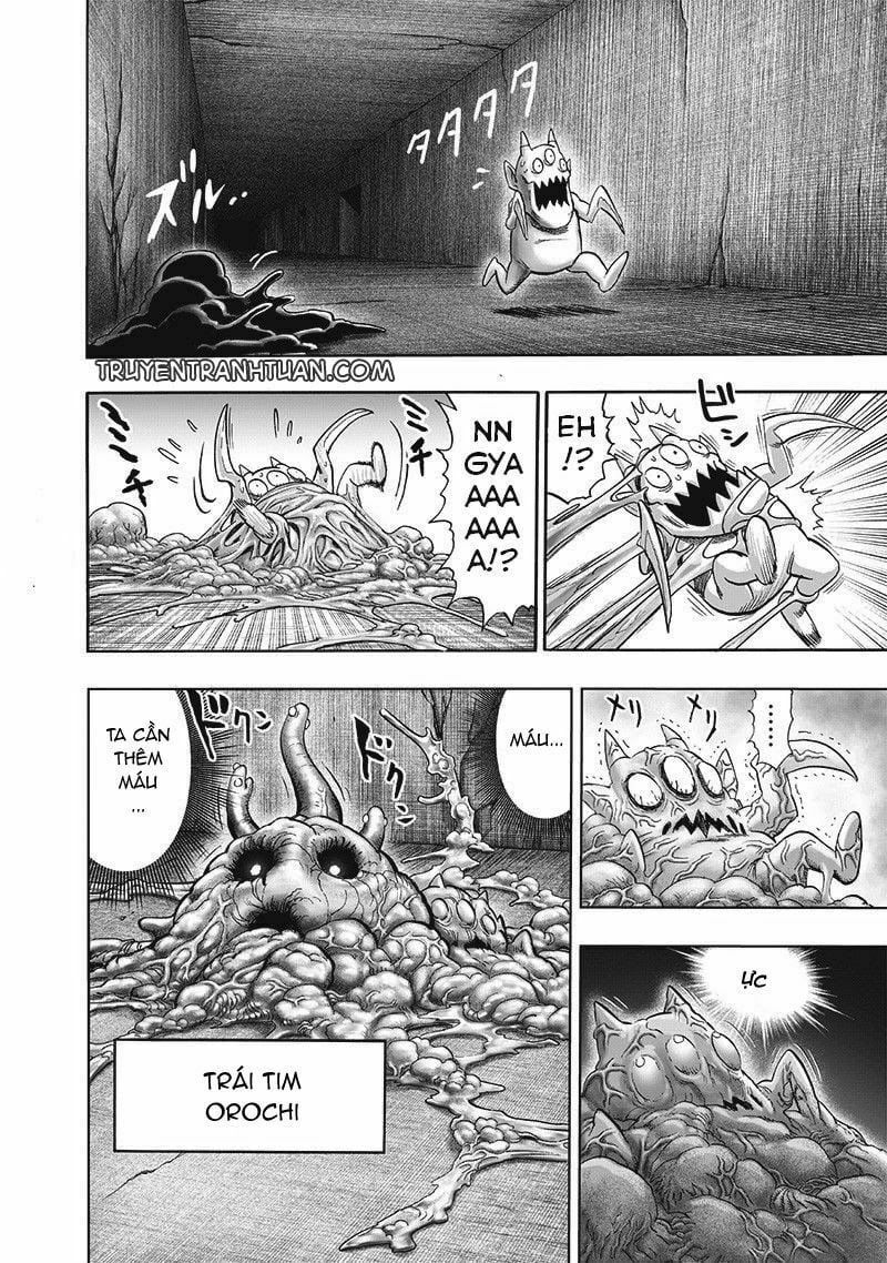 đọc truyện Anh Hùng Onepunch Chương 172 ảnh 21 tại Thiên Thai Truyện