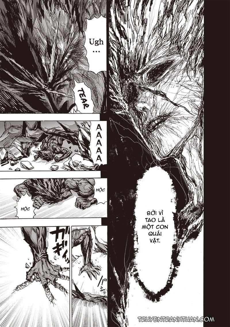 đọc truyện Anh Hùng Onepunch Chương 183 ảnh 14 tại Thiên Thai Truyện