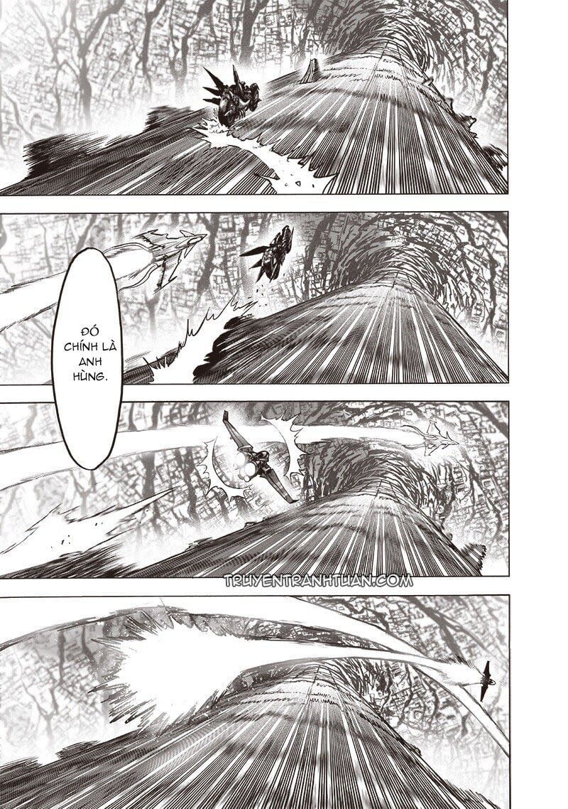 đọc truyện Anh Hùng Onepunch Chương 183 ảnh 28 tại Thiên Thai Truyện