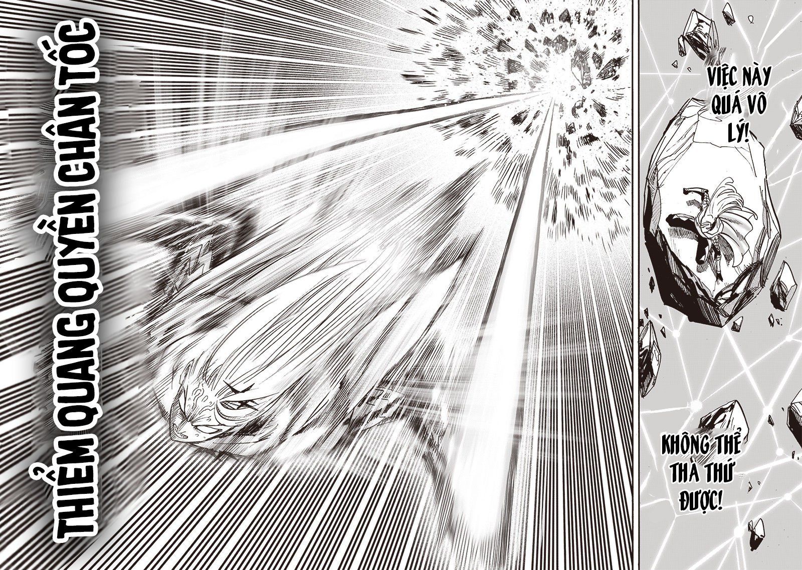 đọc truyện Anh Hùng Onepunch Chương 203 ảnh 7 tại Thiên Thai Truyện