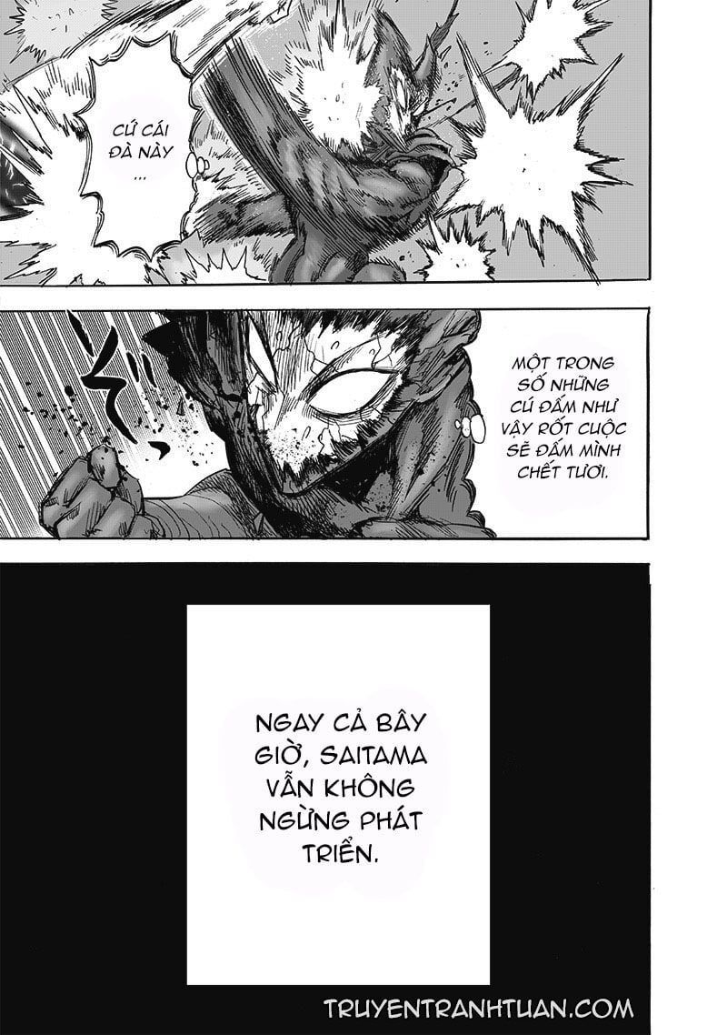 đọc truyện Anh Hùng Onepunch Chương 215 ảnh 18 tại Thiên Thai Truyện