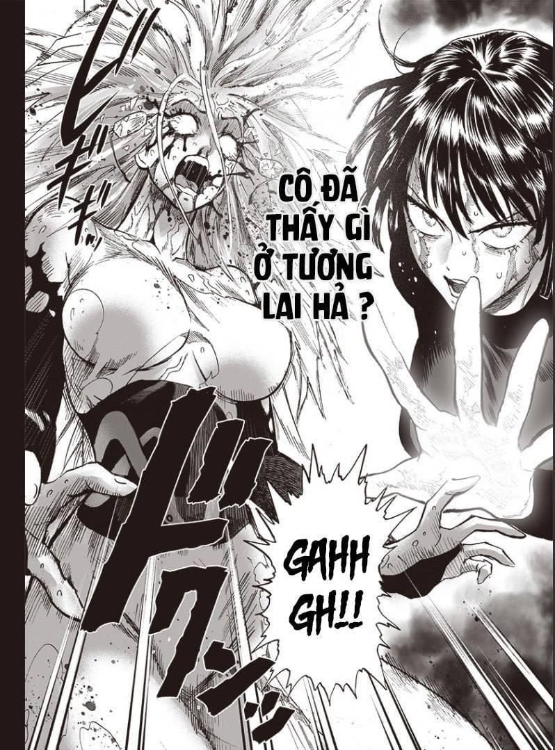 đọc truyện Anh Hùng Onepunch Chương 223 ảnh 12 tại Thiên Thai Truyện