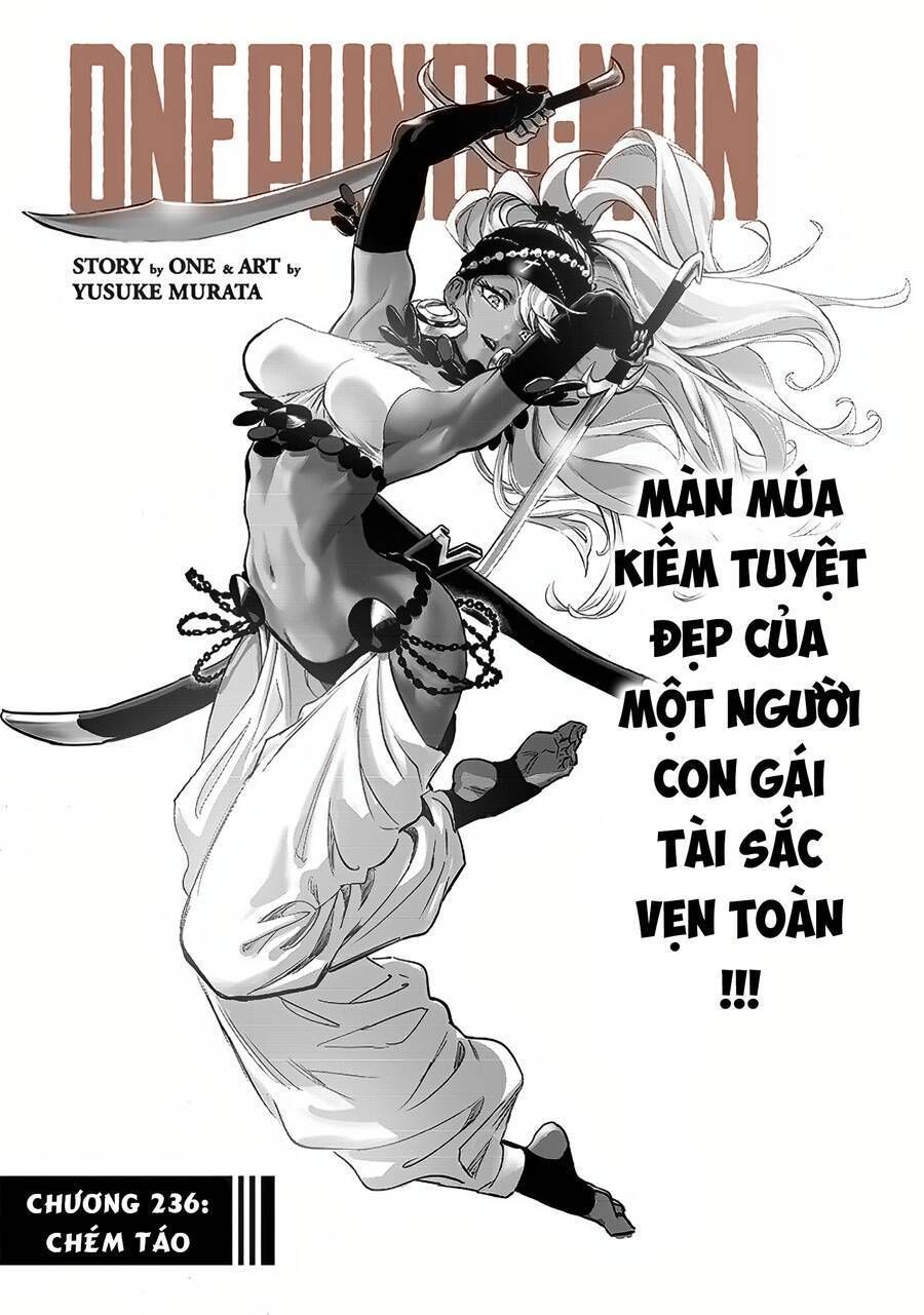 đọc truyện Anh Hùng Onepunch Chương 236 ảnh 3 tại Thiên Thai Truyện