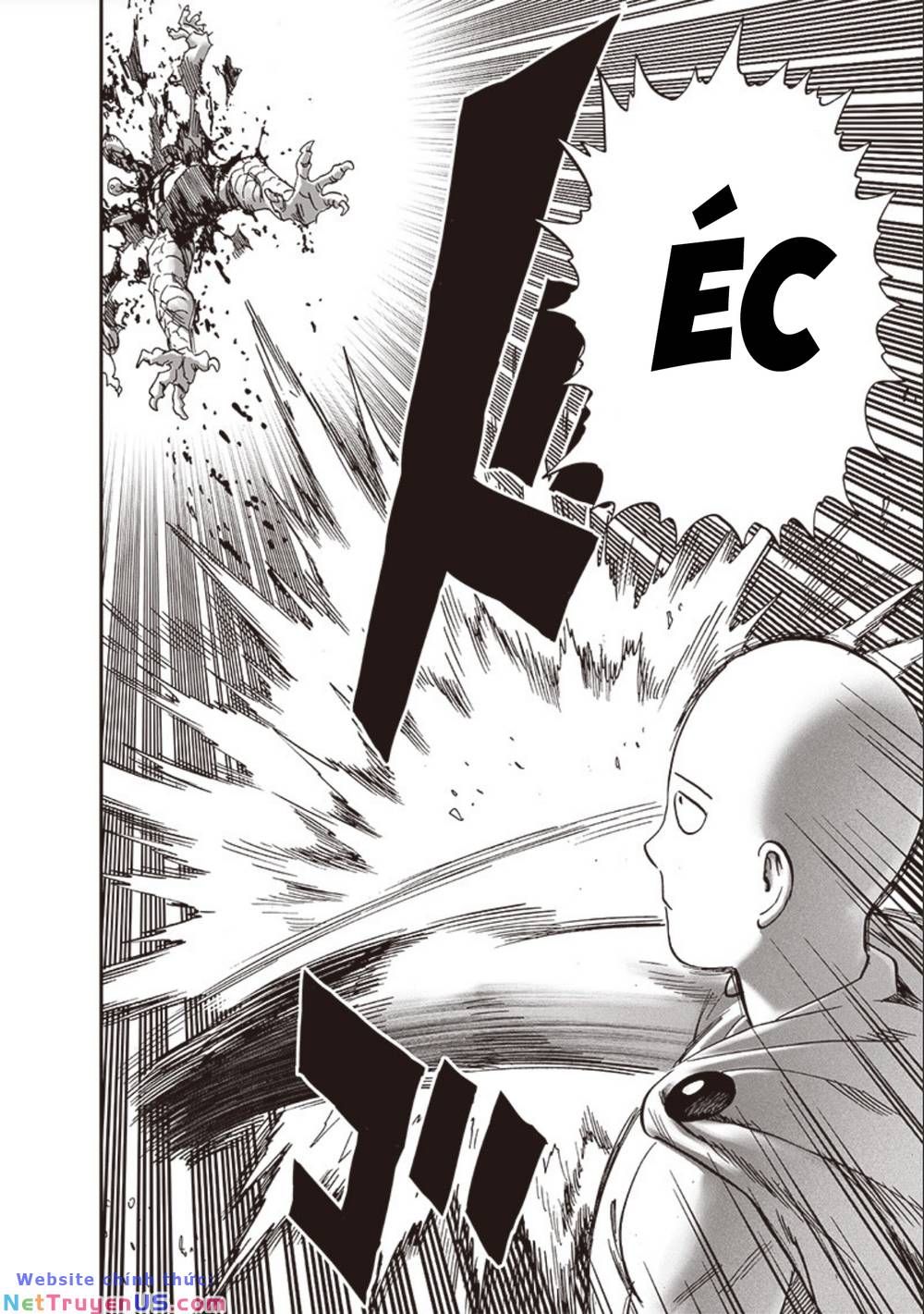 đọc truyện Anh Hùng Onepunch Chương 240 ảnh 6 tại Thiên Thai Truyện