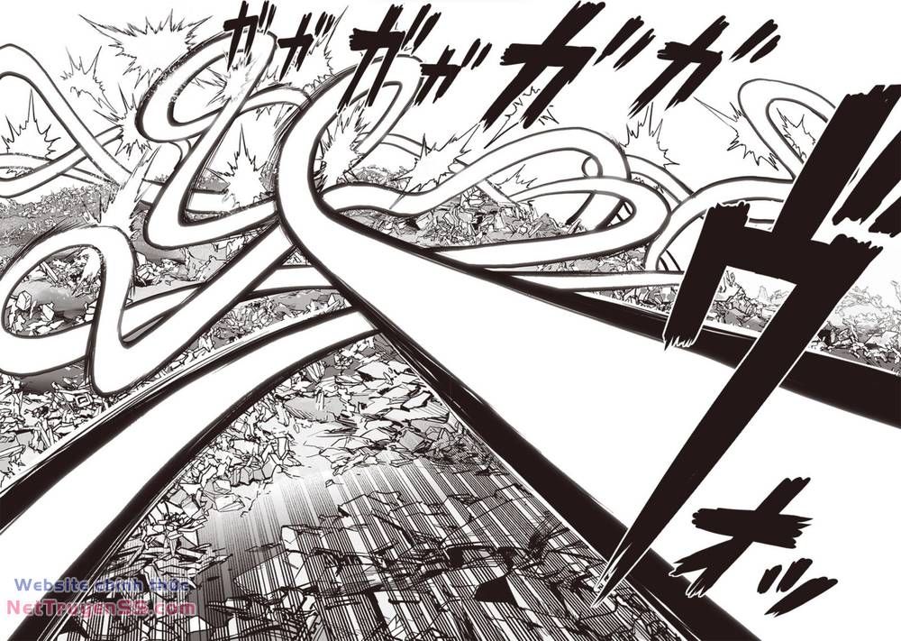 đọc truyện Anh Hùng Onepunch Chương 248 ảnh 13 tại Thiên Thai Truyện