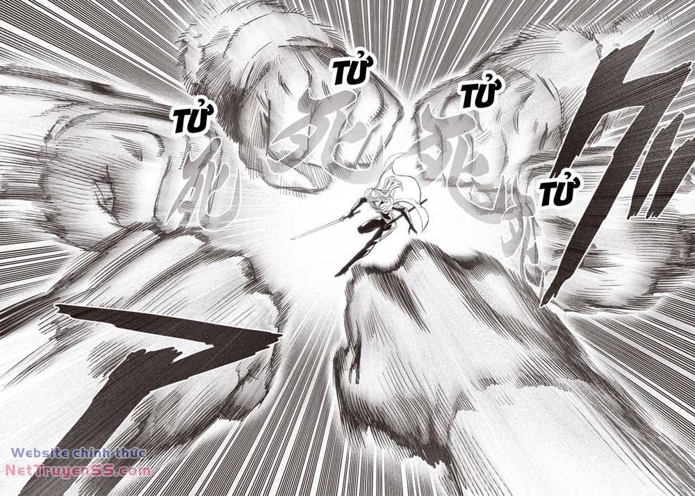 đọc truyện Anh Hùng Onepunch Chương 248 ảnh 16 tại Thiên Thai Truyện