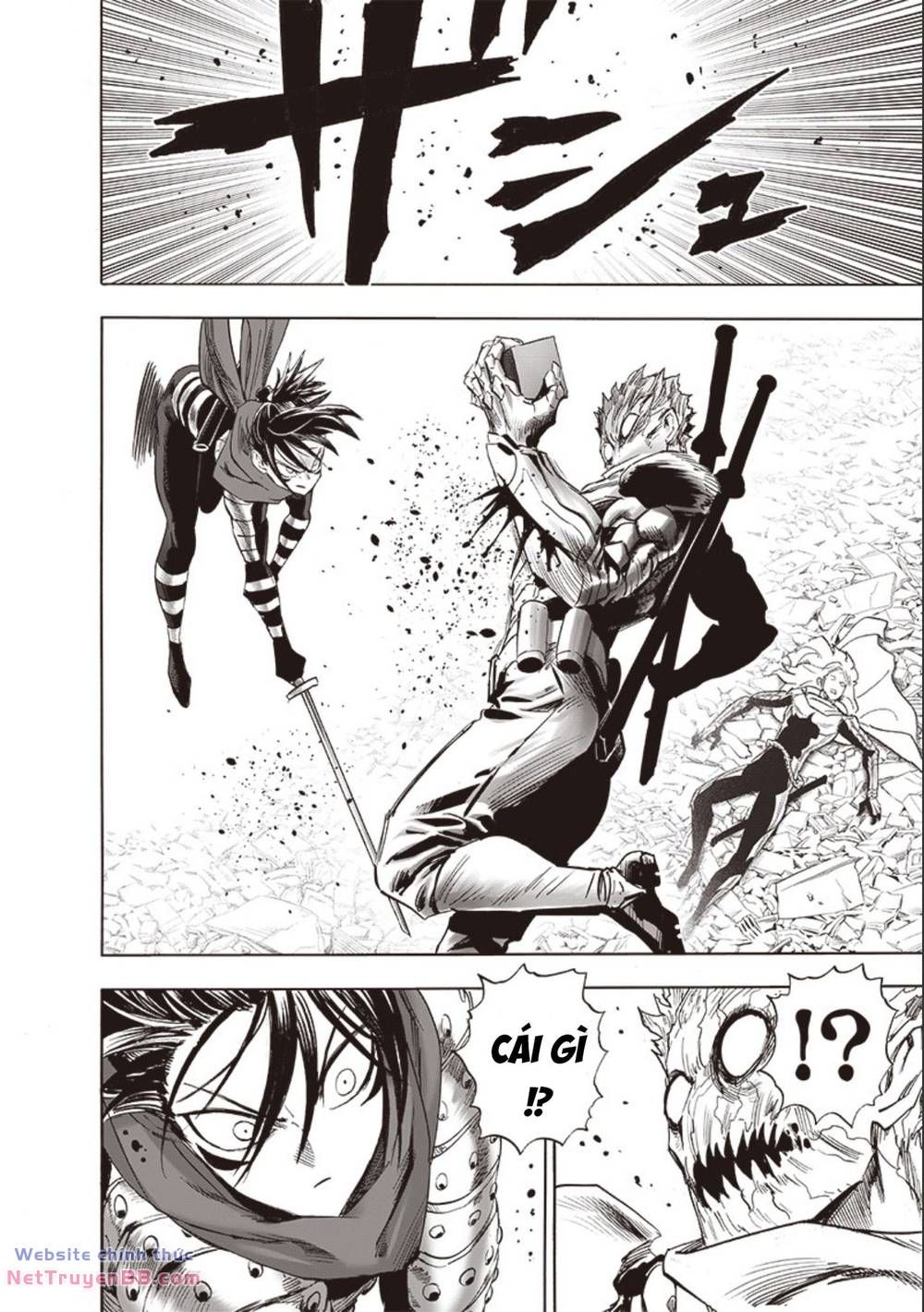 đọc truyện Anh Hùng Onepunch Chương 249 ảnh 5 tại Thiên Thai Truyện