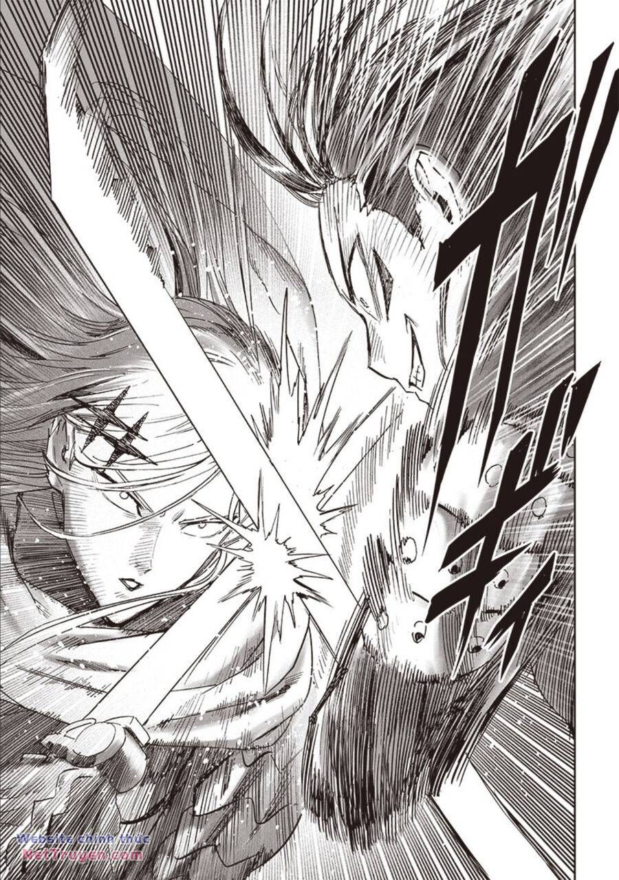 đọc truyện Anh Hùng Onepunch Chương 253 ảnh 12 tại Thiên Thai Truyện