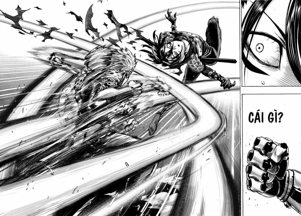 đọc truyện Anh Hùng Onepunch Chương 61 ảnh 10 tại Thiên Thai Truyện