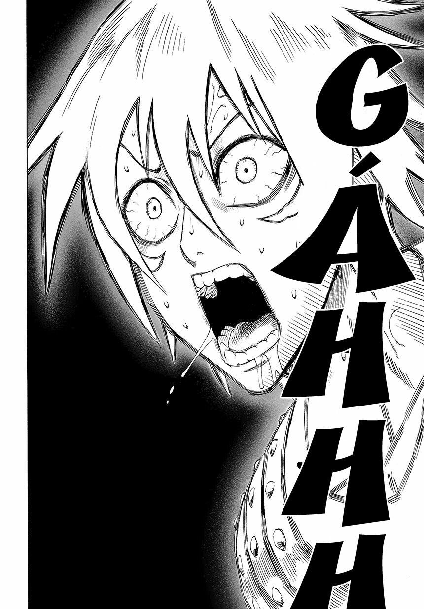 đọc truyện Anh Hùng Onepunch Chương 63 ảnh 12 tại Thiên Thai Truyện