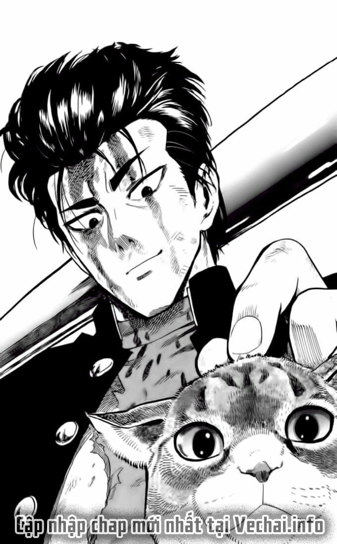 đọc truyện Anh Hùng Onepunch Chương 97.5 ảnh 5 tại Thiên Thai Truyện