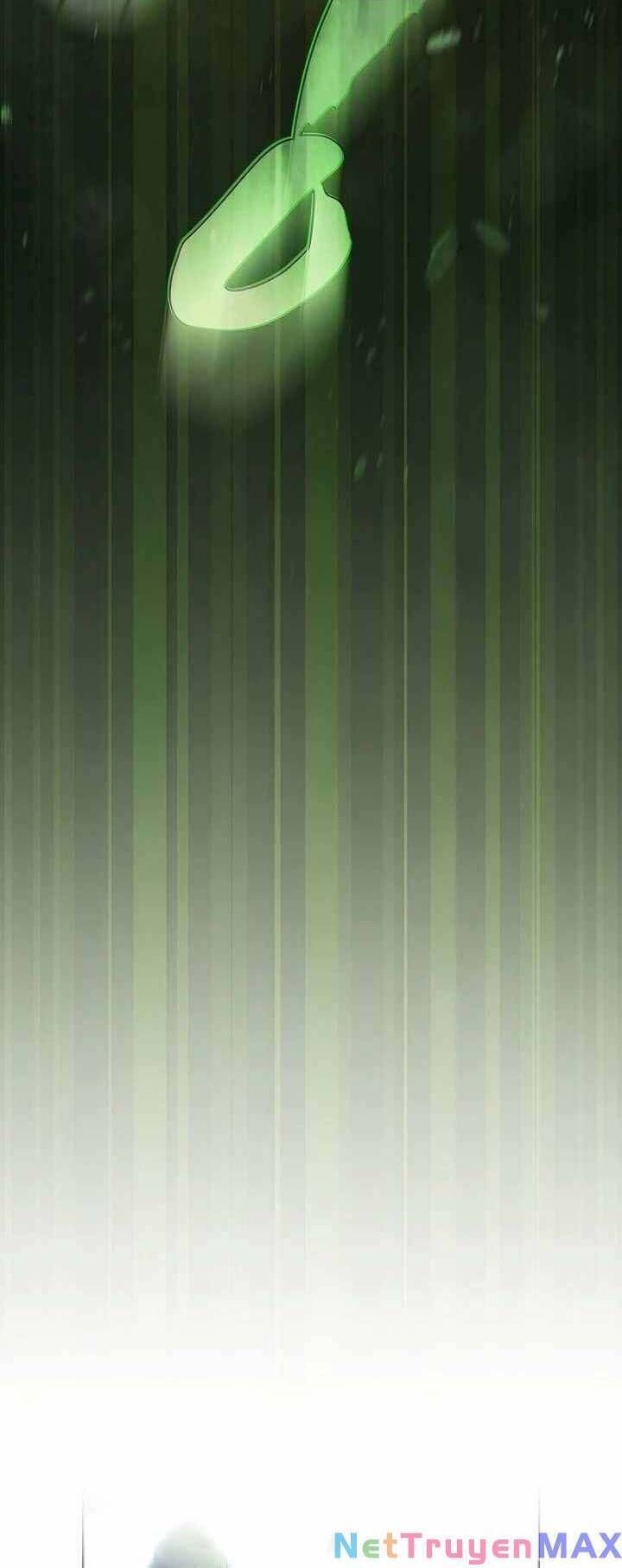 đọc truyện Anh Hùng Rác Rưởi Chương 160 ảnh 40 tại Thiên Thai Truyện