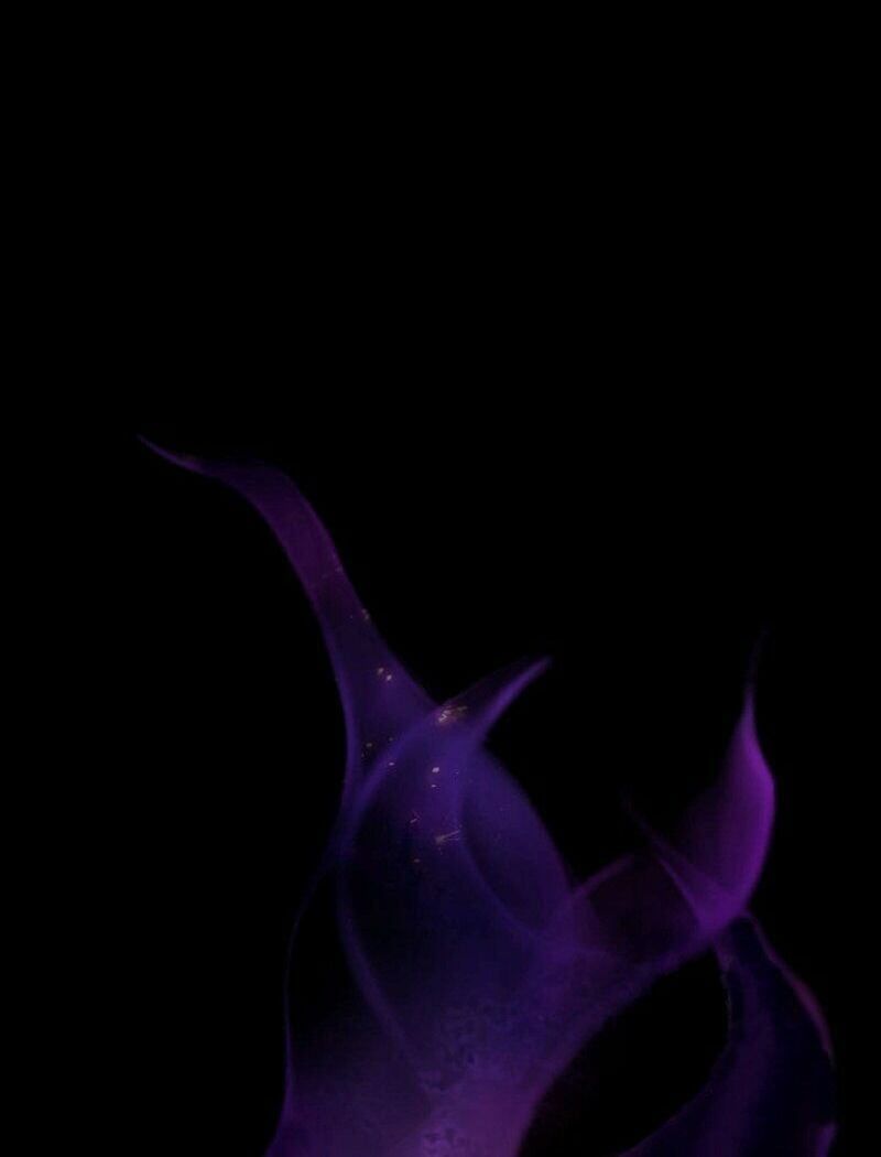 đọc truyện Anh Hùng Rác Rưởi Chương 36 ảnh 37 tại Thiên Thai Truyện