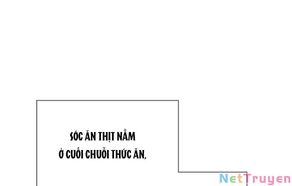 đọc truyện Ánh Sáng Cuối Con Đường Chương 155 ảnh 33 tại Thiên Thai Truyện