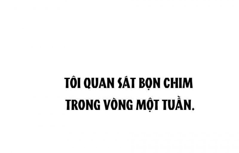 đọc truyện Ánh Sáng Cuối Con Đường Chương 156 ảnh 128 tại Thiên Thai Truyện