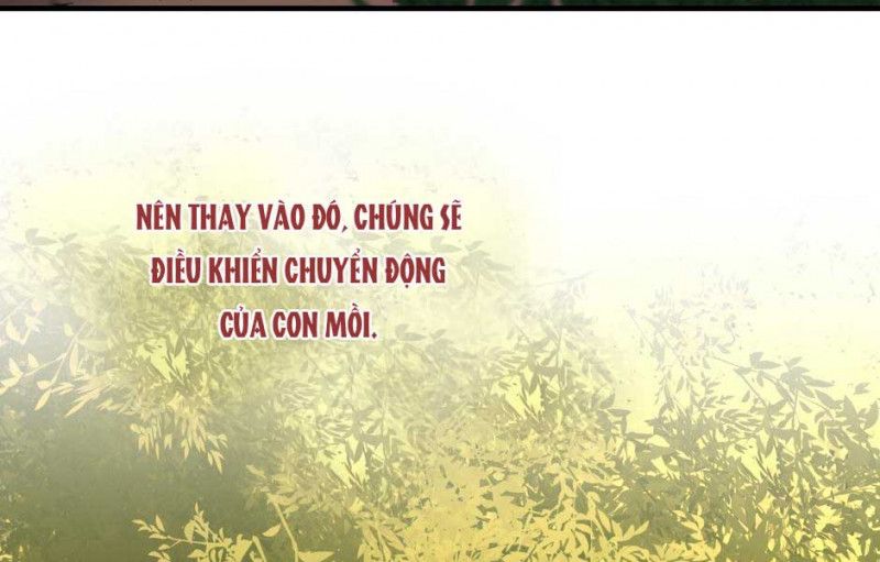 đọc truyện Ánh Sáng Cuối Con Đường Chương 156 ảnh 136 tại Thiên Thai Truyện