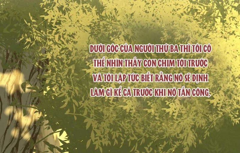 đọc truyện Ánh Sáng Cuối Con Đường Chương 156 ảnh 137 tại Thiên Thai Truyện