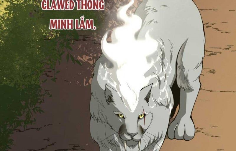 đọc truyện Ánh Sáng Cuối Con Đường Chương 156 ảnh 141 tại Thiên Thai Truyện