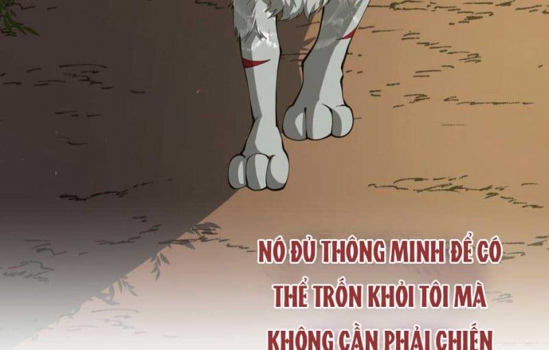 đọc truyện Ánh Sáng Cuối Con Đường Chương 156 ảnh 142 tại Thiên Thai Truyện