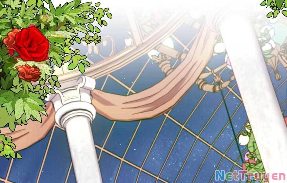 đọc truyện Ánh Sáng Cuối Con Đường Chương 158 ảnh 187 tại Thiên Thai Truyện