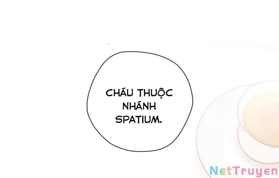 đọc truyện Ánh Sáng Cuối Con Đường Chương 159 ảnh 154 tại Thiên Thai Truyện