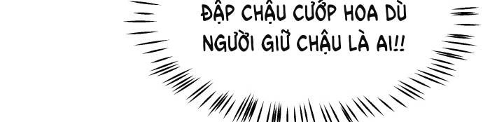 đọc truyện Ánh Sao Ban Mai Chương 60 ảnh 320 tại Giả Dược