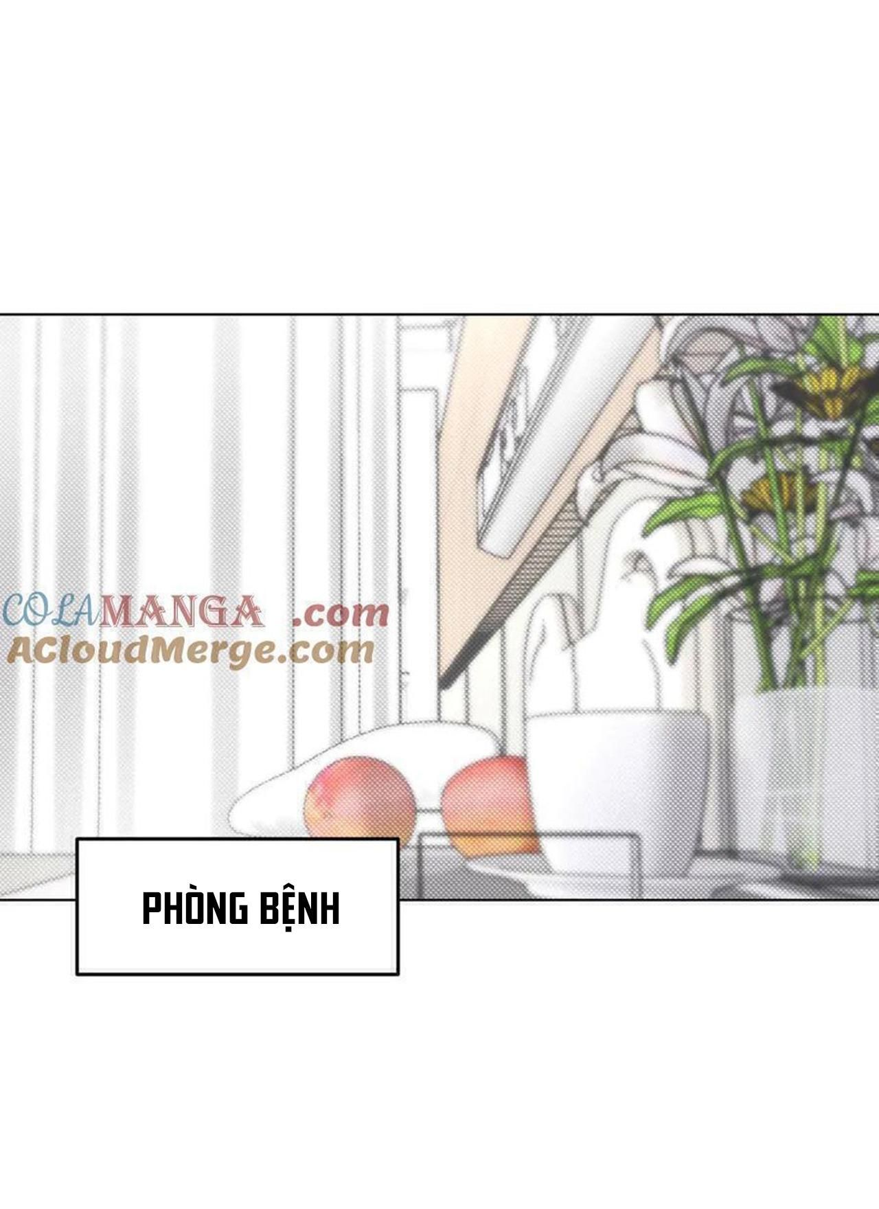 đọc truyện Anh Trai Rẻ Tiền Của Tôi (end) Chương 63 ảnh 3 tại Thiên Thai Truyện