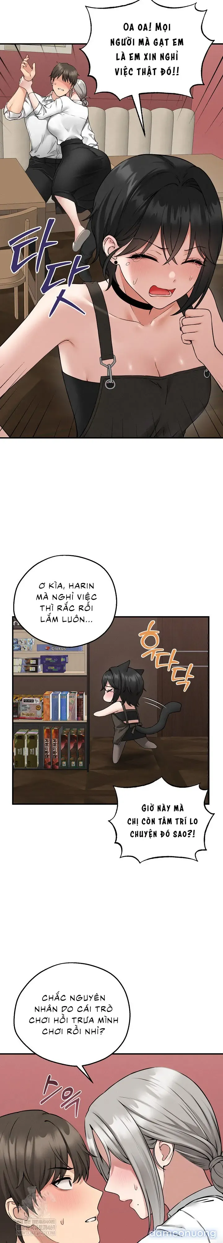 đọc truyện Asmodeck: Trò Chơi Cuồng Dâm Chương 3 ảnh 15 tại Thiên Thai Truyện