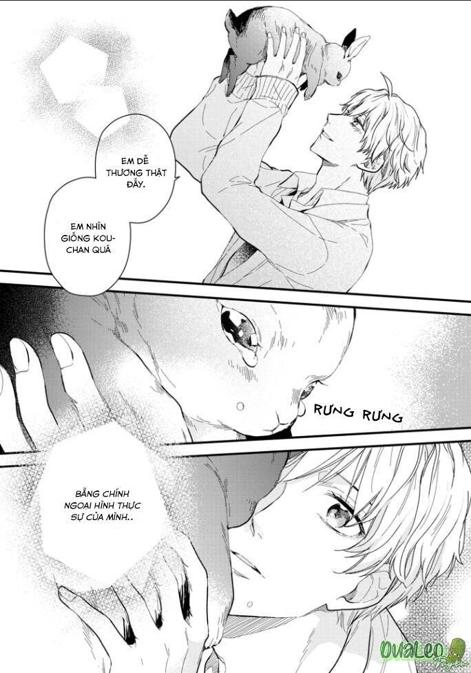 đọc truyện Atai Jou To Usagi No Yamai Chương 3 ảnh 23 tại Thiên Thai Truyện