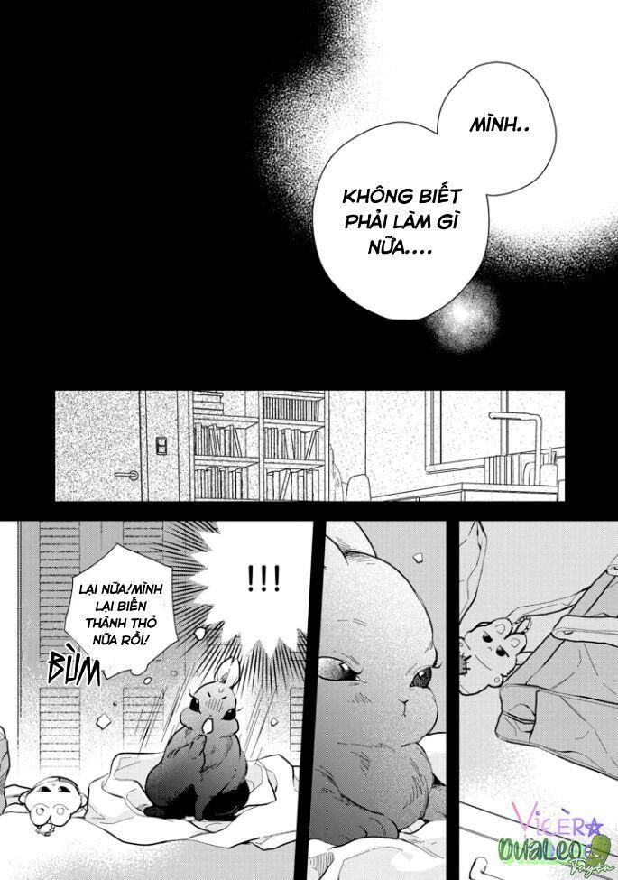 đọc truyện Atai Jou To Usagi No Yamai Chương 4 ảnh 28 tại Thiên Thai Truyện