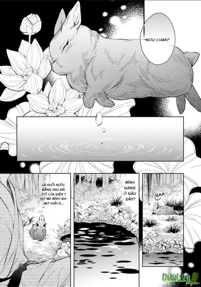 đọc truyện Atai Jou To Usagi No Yamai Chương 5 ảnh 9 tại Thiên Thai Truyện