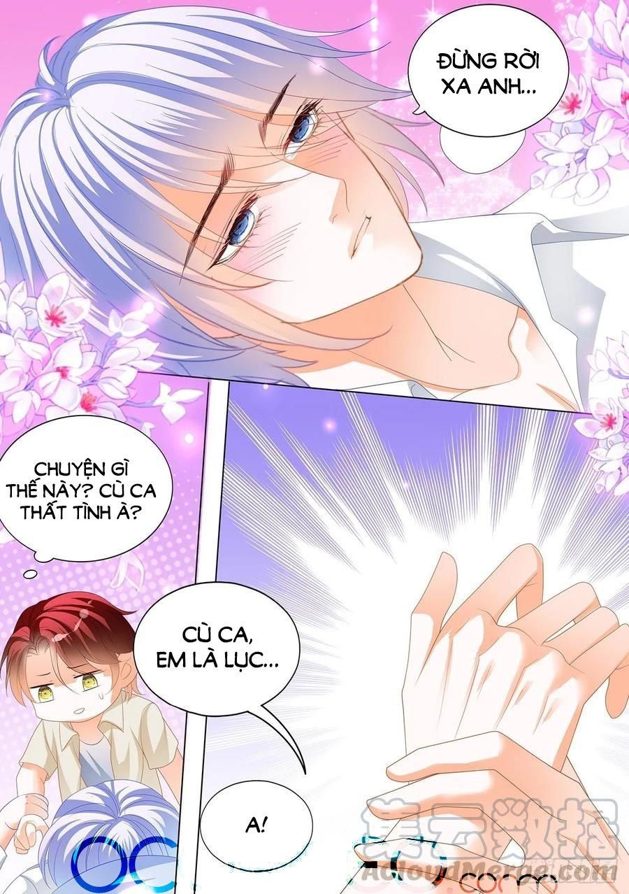 đọc truyện Bá Đạo Tiểu Thúc, Xin Trêu Chọc Vừa Thôi! Chương 158 ảnh 9 tại Thiên Thai Truyện