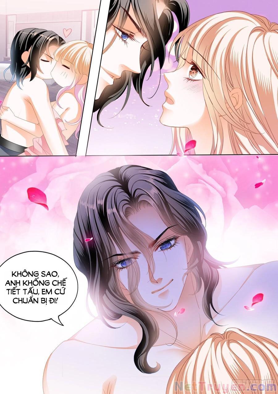 đọc truyện Bá Đạo Tiểu Thúc, Xin Trêu Chọc Vừa Thôi! Chương 209 ảnh 12 tại Thiên Thai Truyện