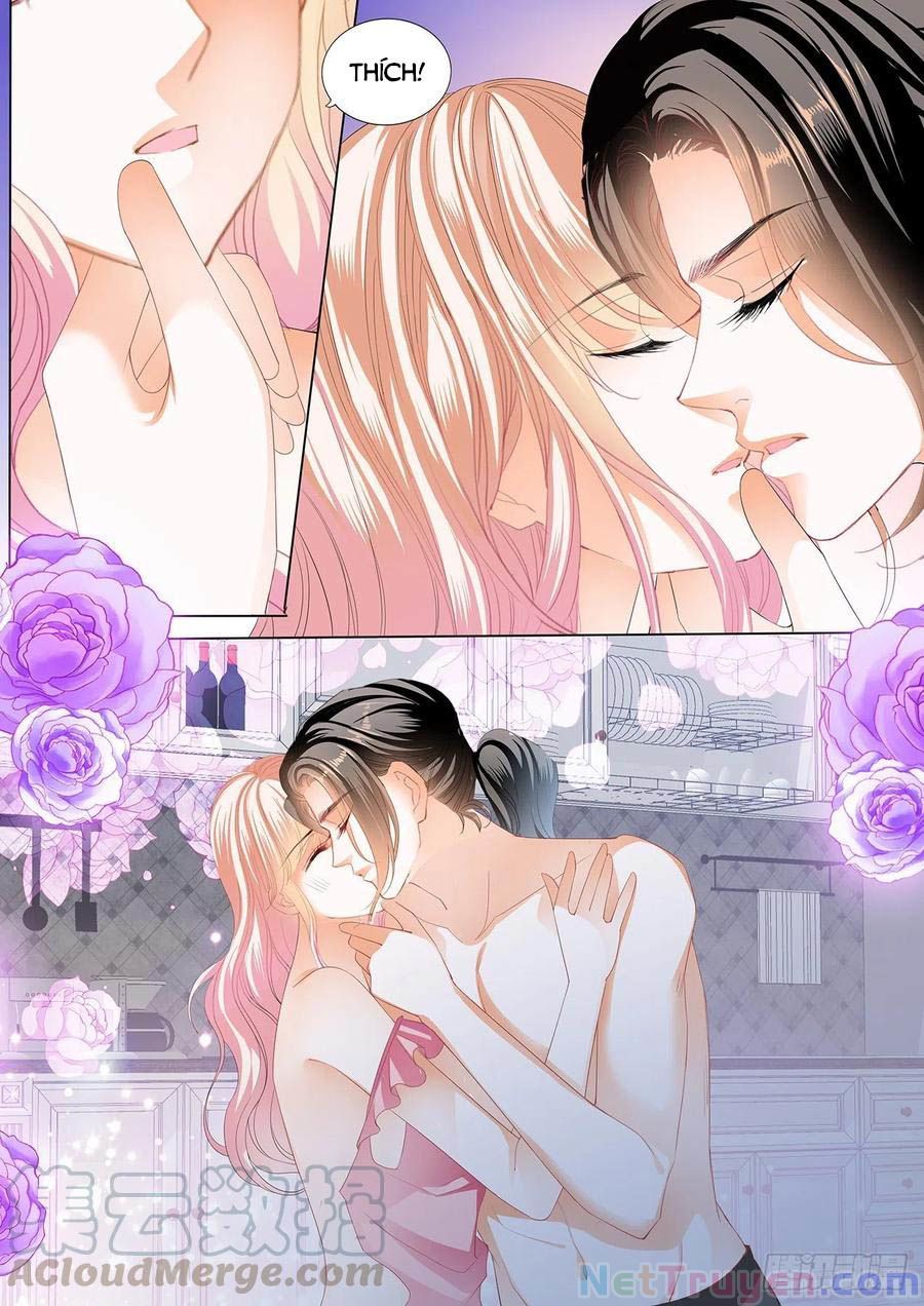 đọc truyện Bá Đạo Tiểu Thúc, Xin Trêu Chọc Vừa Thôi! Chương 215 ảnh 5 tại Thiên Thai Truyện