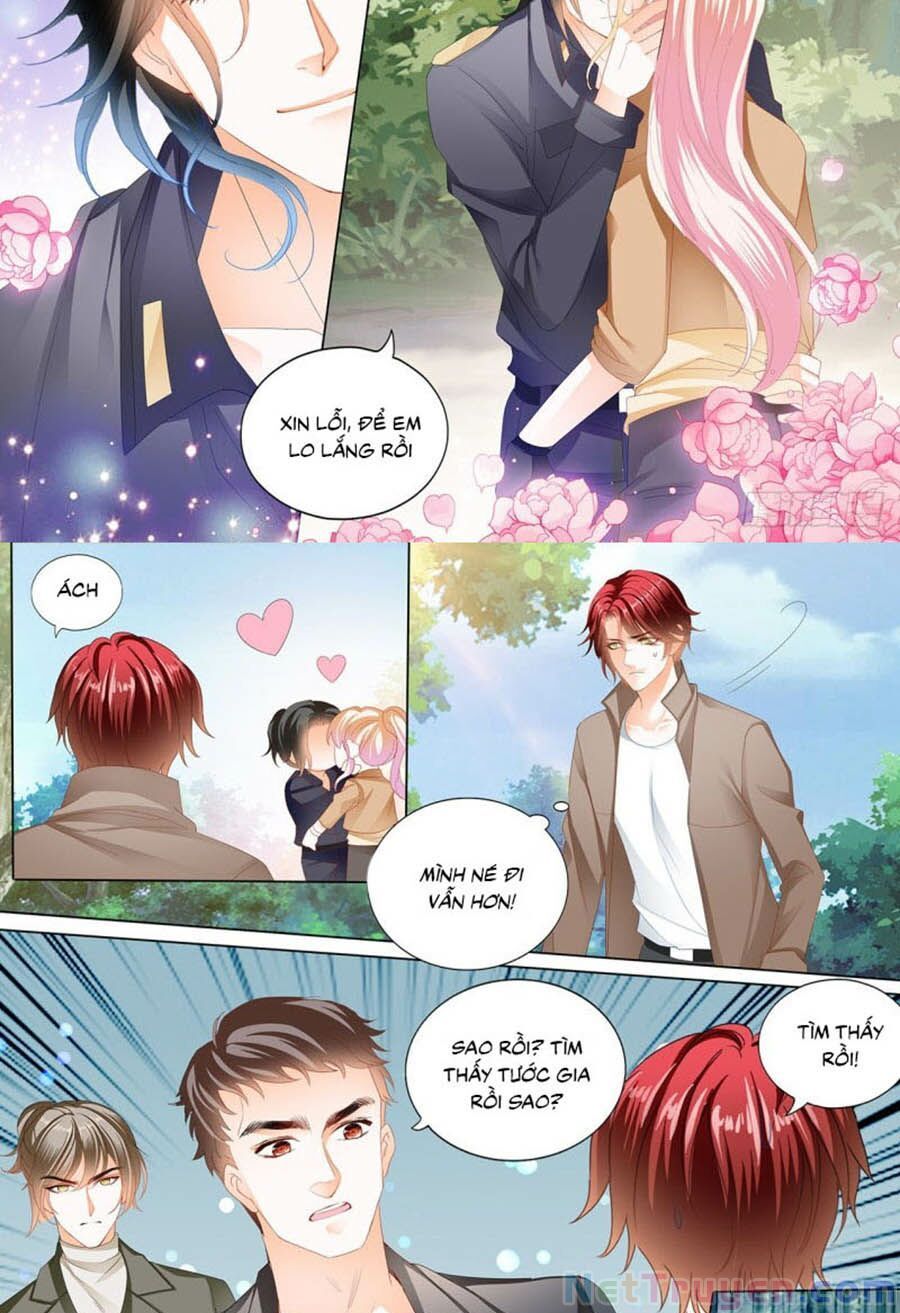 đọc truyện Bá Đạo Tiểu Thúc, Xin Trêu Chọc Vừa Thôi! Chương 219 ảnh 4 tại Thiên Thai Truyện