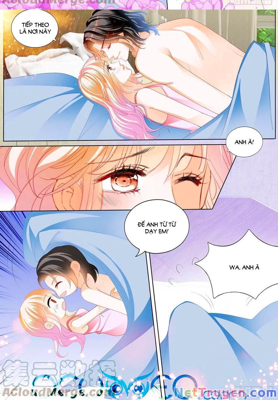 đọc truyện Bá Đạo Tiểu Thúc, Xin Trêu Chọc Vừa Thôi! Chương 224 ảnh 14 tại Thiên Thai Truyện