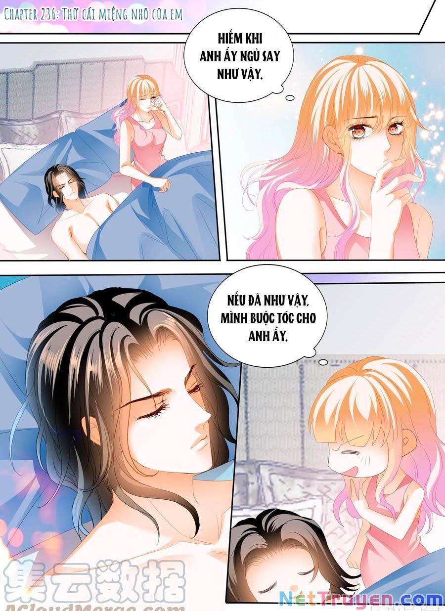 đọc truyện Bá Đạo Tiểu Thúc, Xin Trêu Chọc Vừa Thôi! Chương 236 ảnh 3 tại Thiên Thai Truyện