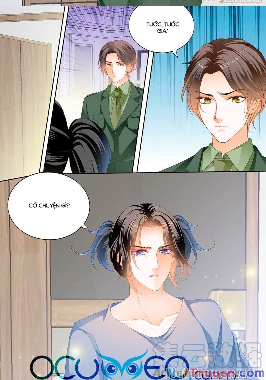 đọc truyện Bá Đạo Tiểu Thúc, Xin Trêu Chọc Vừa Thôi! Chương 236 ảnh 5 tại Thiên Thai Truyện