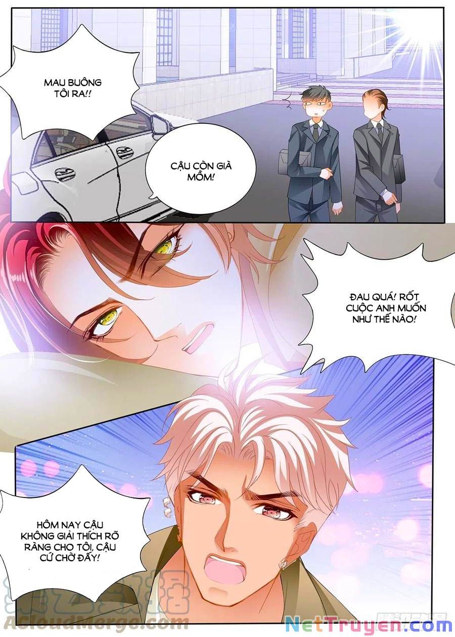 đọc truyện Bá Đạo Tiểu Thúc, Xin Trêu Chọc Vừa Thôi! Chương 238 ảnh 11 tại Thiên Thai Truyện