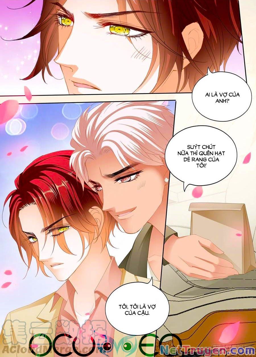 đọc truyện Bá Đạo Tiểu Thúc, Xin Trêu Chọc Vừa Thôi! Chương 239 ảnh 6 tại Thiên Thai Truyện