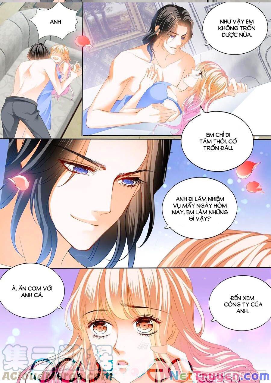 đọc truyện Bá Đạo Tiểu Thúc, Xin Trêu Chọc Vừa Thôi! Chương 241 ảnh 7 tại Thiên Thai Truyện