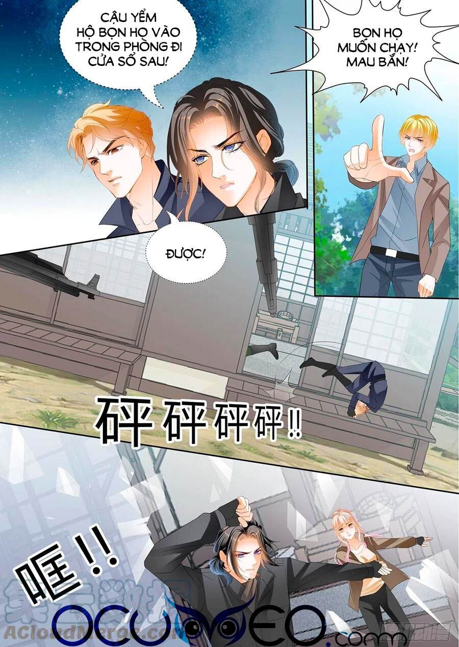 đọc truyện Bá Đạo Tiểu Thúc, Xin Trêu Chọc Vừa Thôi! Chương 245 ảnh 13 tại Thiên Thai Truyện