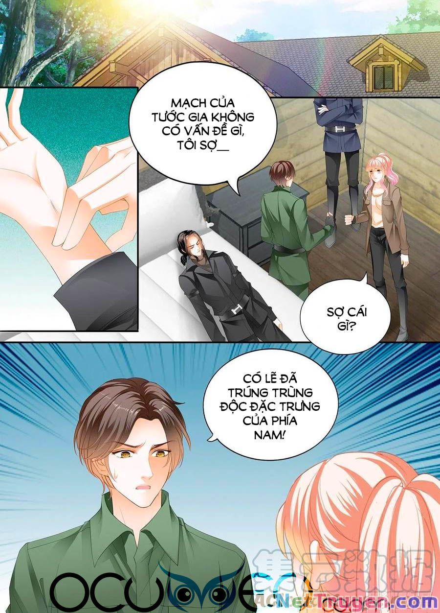 đọc truyện Bá Đạo Tiểu Thúc, Xin Trêu Chọc Vừa Thôi! Chương 246 ảnh 13 tại Thiên Thai Truyện