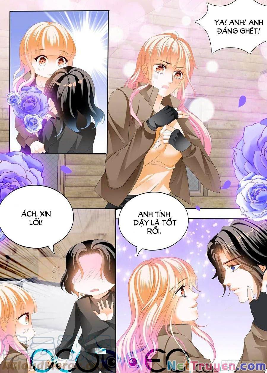 đọc truyện Bá Đạo Tiểu Thúc, Xin Trêu Chọc Vừa Thôi! Chương 247 ảnh 13 tại Thiên Thai Truyện