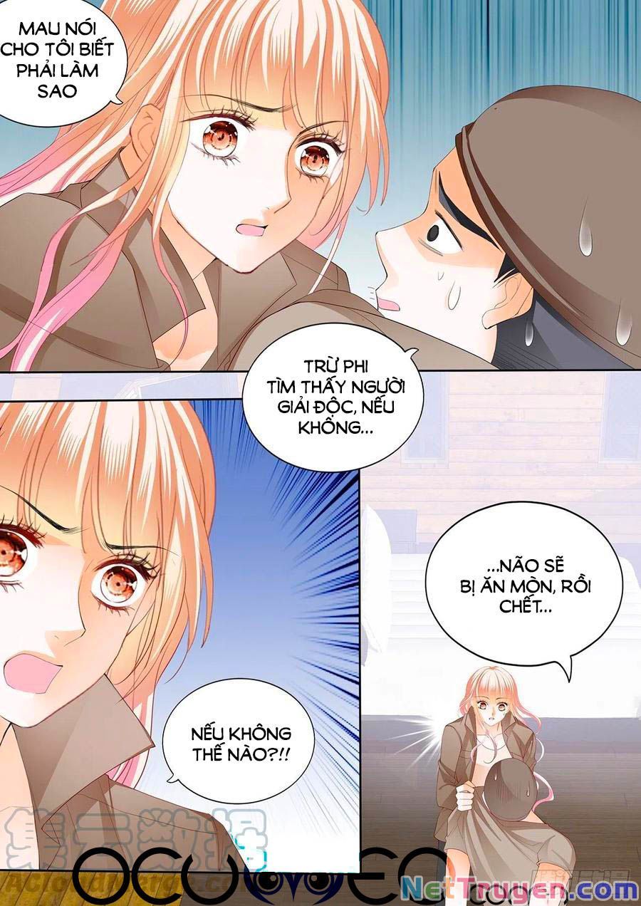 đọc truyện Bá Đạo Tiểu Thúc, Xin Trêu Chọc Vừa Thôi! Chương 249 ảnh 5 tại Thiên Thai Truyện