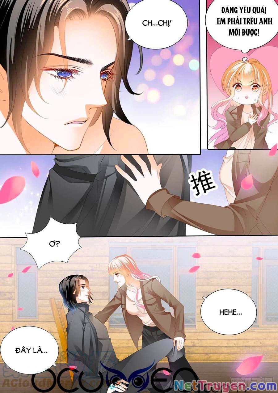 đọc truyện Bá Đạo Tiểu Thúc, Xin Trêu Chọc Vừa Thôi! Chương 249 ảnh 11 tại Thiên Thai Truyện