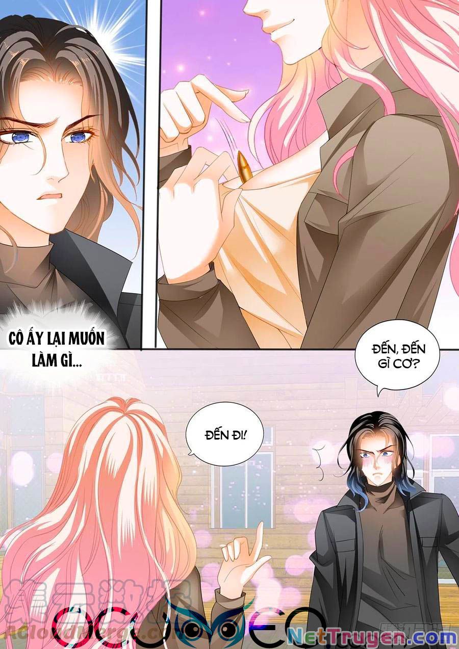 đọc truyện Bá Đạo Tiểu Thúc, Xin Trêu Chọc Vừa Thôi! Chương 250 ảnh 12 tại Thiên Thai Truyện