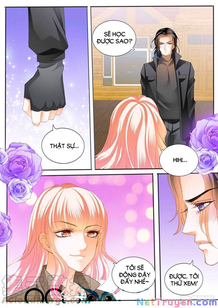 đọc truyện Bá Đạo Tiểu Thúc, Xin Trêu Chọc Vừa Thôi! Chương 250 ảnh 14 tại Thiên Thai Truyện